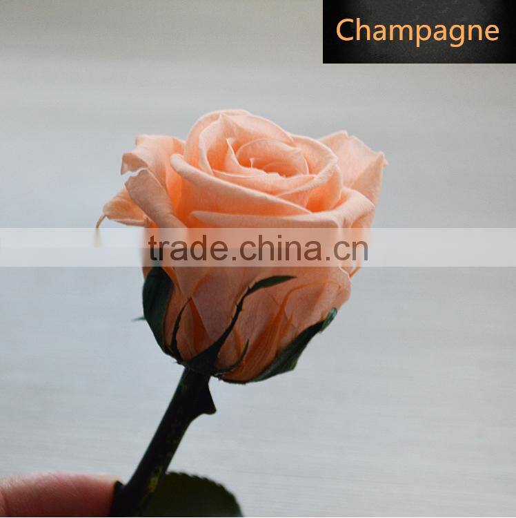 Wholesale Natural Multi Colors Long Time Saving Preserved Fresh Flower Rose With Long Stem