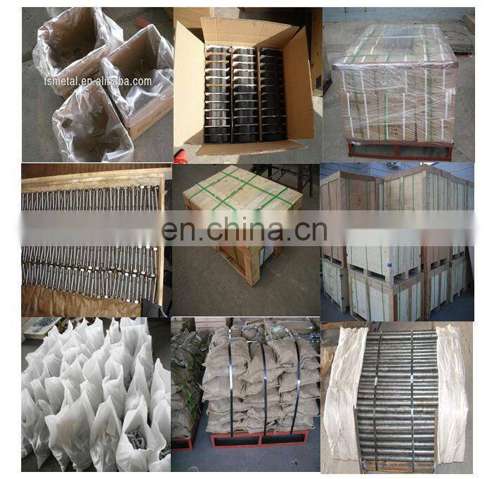 HDG forged round head carbon steel tent nail