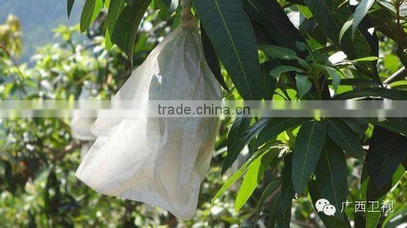 Fruit protection bag mango