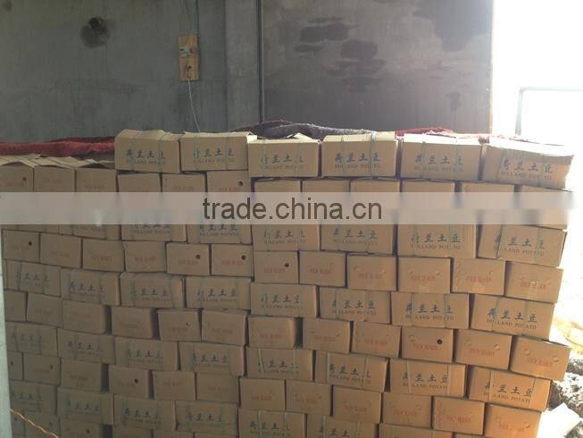 Chinese fresh potato packing in carton