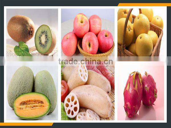 Leader kiwi slicing machine with CE&ISO