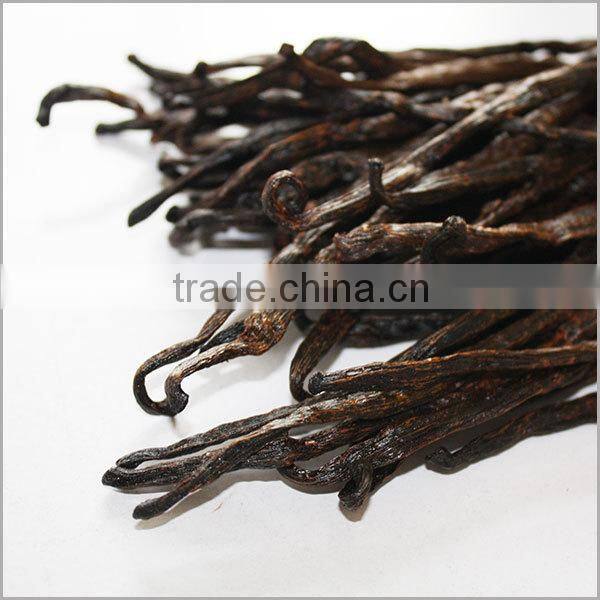 vanilla beans suppliers