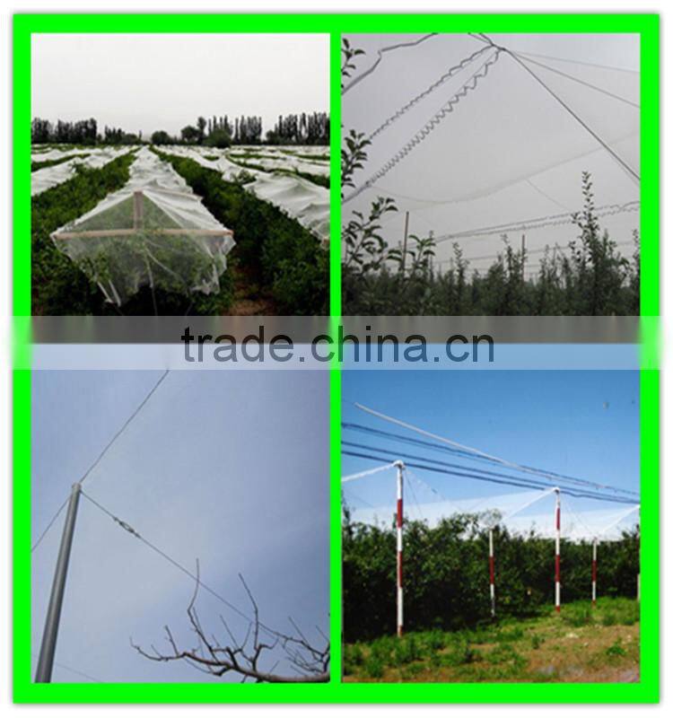 Small Mesh Hail Net,Pond Protection and Anti Butterfly Netting