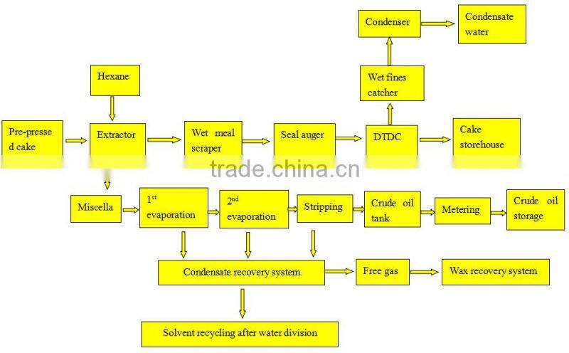 200TPD hot sale products grape seed oil extraction machine with CE, SGS, ISO9001, BV