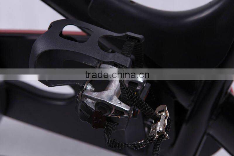 professional manufacturer Hot salse exercise bike , fitness bike , sports goods , body building ,YB-S2000,gym bike