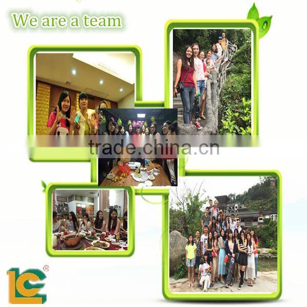 mini IR screen printing drying oven conveyor belt for t-shirt