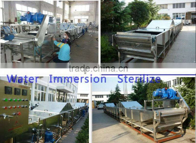 Bottle tilting sterilizing conveyor