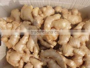 New crop ginger flakes with high quality