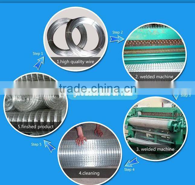 SQ-304 welded wire mesh (Anping manufacture)