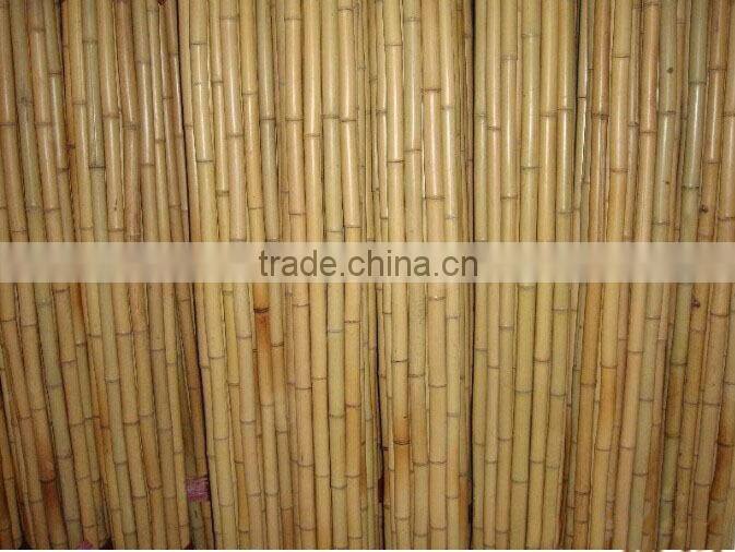 colored bamboo poles