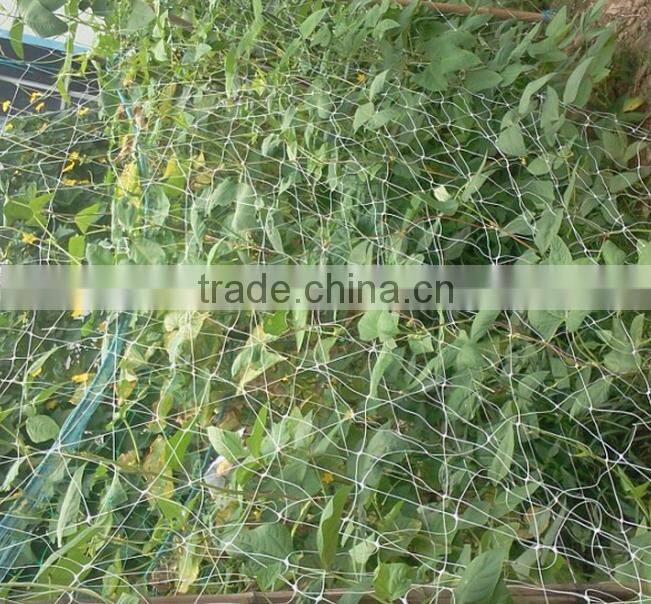 hot selling BOP net(high quality and best price,good aftersales and delivery time)