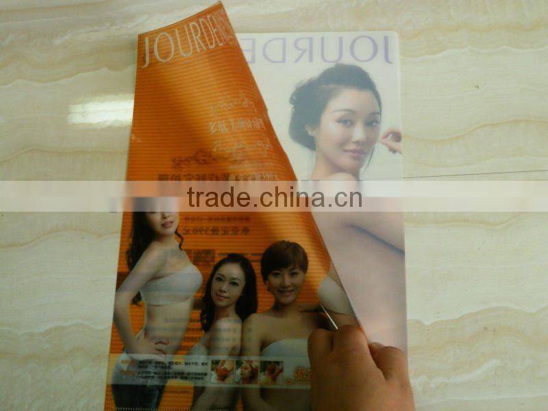 Office Stationery Printed Plastic PP File Folder