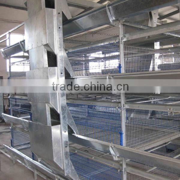 galvanized welded wire layer poultry chicken for sale