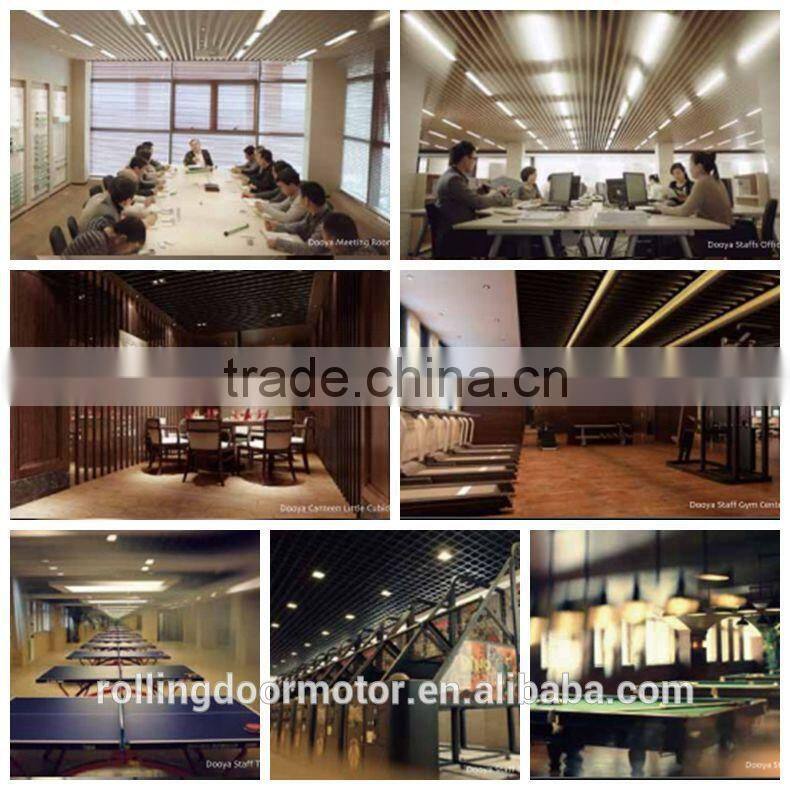 DM45M tubular motor for roller shutter 110V 60Hz