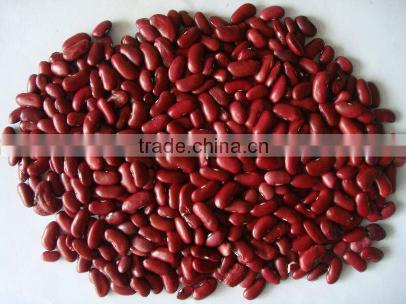 2015 Dark Red Kidney Bean