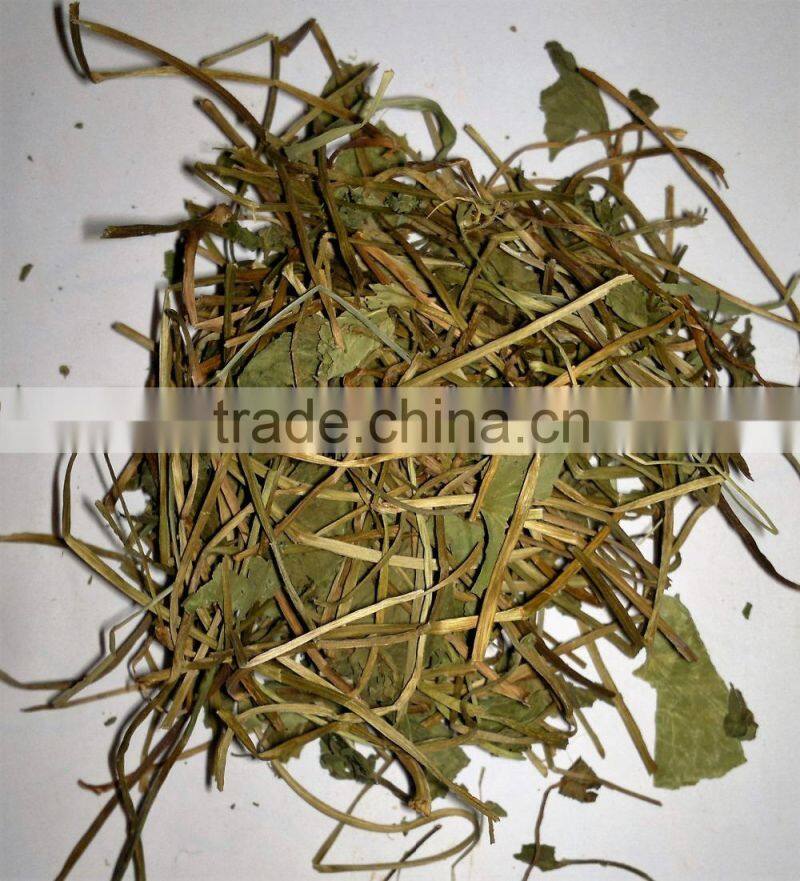 Organic Centella asiatica