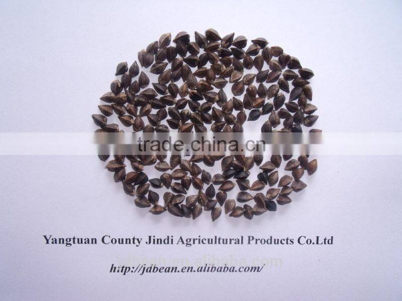 High Quality Buckwheat