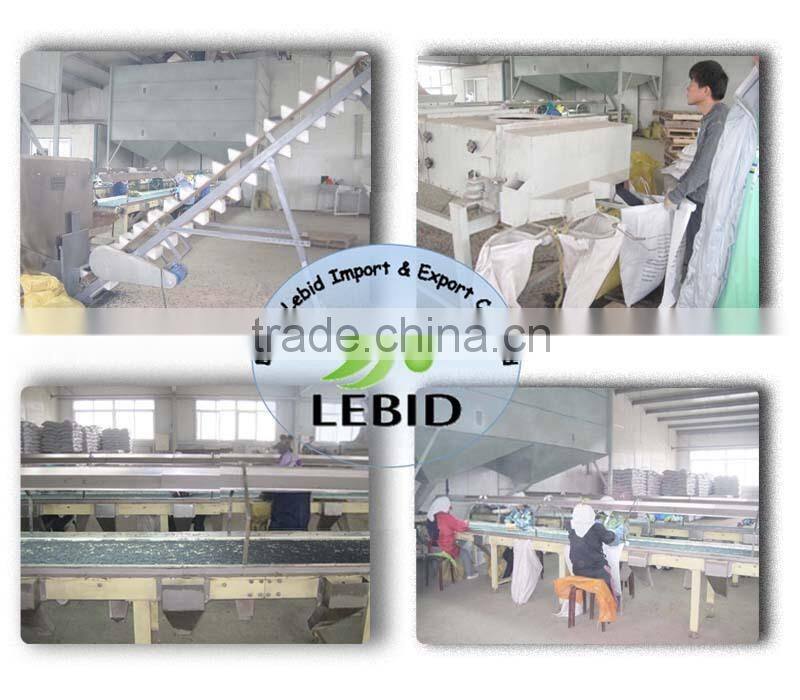 Large White Kidney Beans / Butter beans 2014