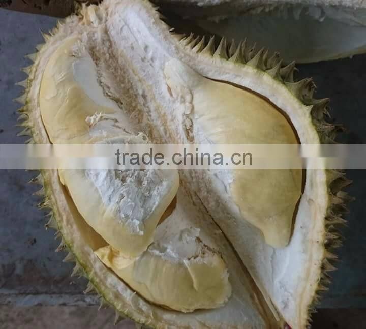 VIET NAM DURIAN- monthong durian