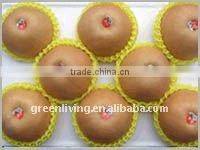 2011 fresh feng shui pear