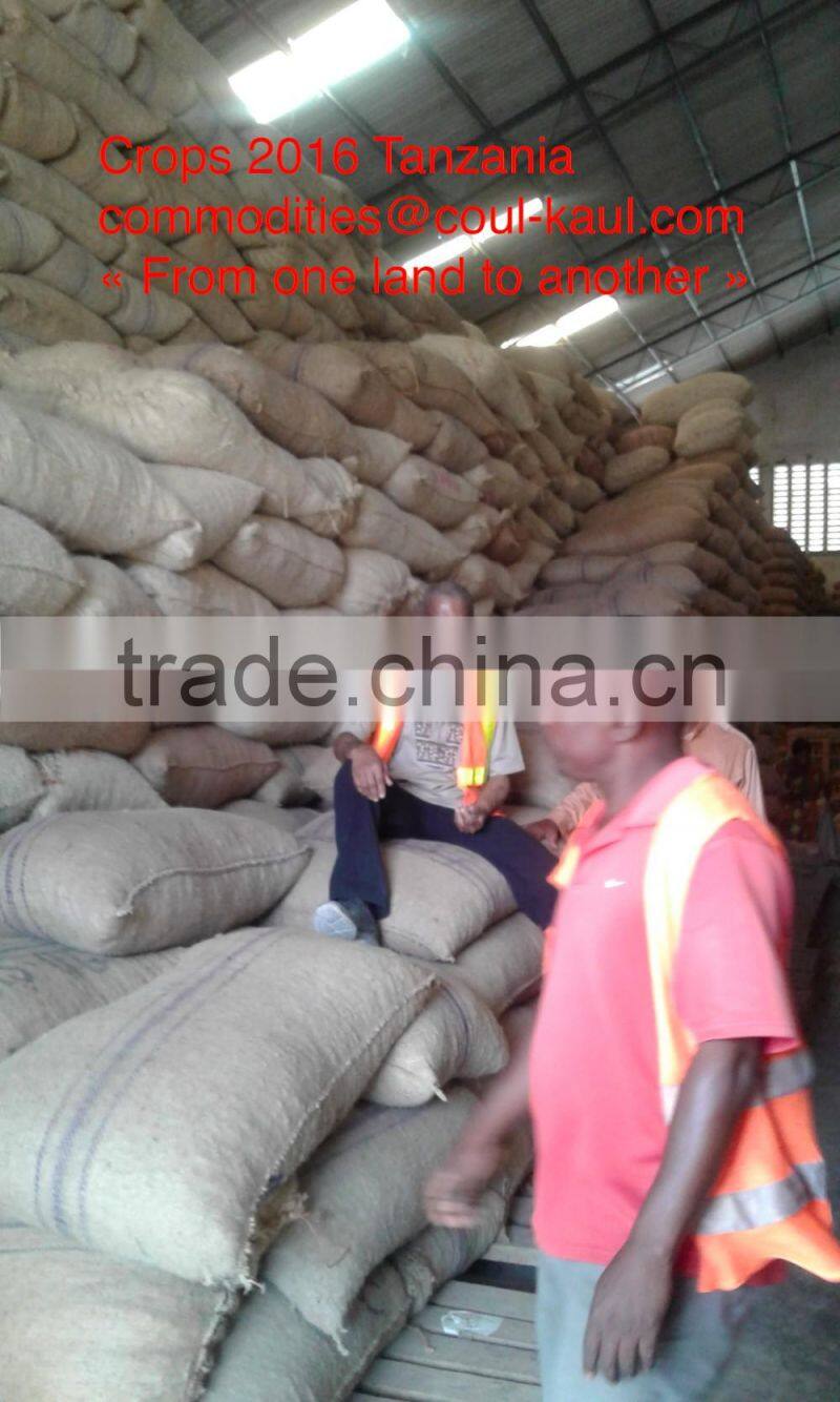 Very good Tanzania raw cashew nuts ( Tanzania contact: 255 682 294 635)