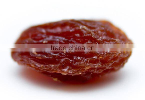 BEST RATE QUALITY INDUSTRIAL RAISIN FOR BEST RATE