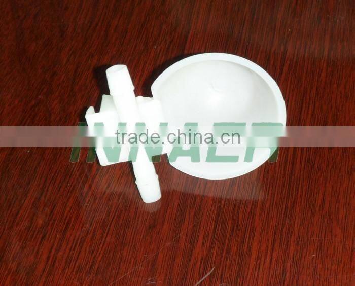 Qatar Poultry Farm Racing Pigeon Cage