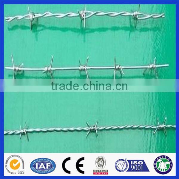 Cheap! Hot dip/ Electric galvanized Double Twist Barbed wire fencing real factory (ISO)