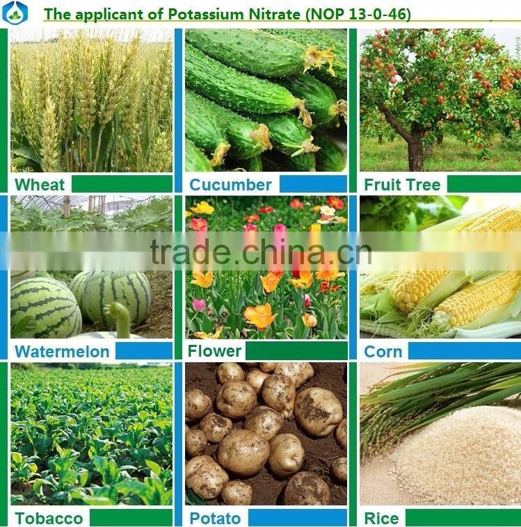 manufacture price potassium nitrate industrial and agriculture grade