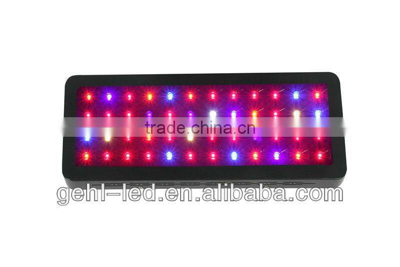 LED Grow Lamps for Indoor Growing Tomatoes