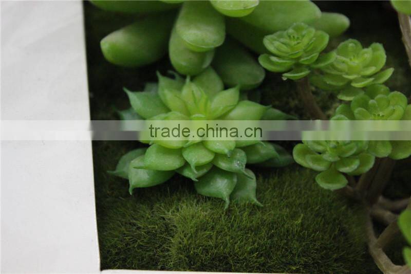 for home garden tiles deco 30*30*7cm paint color indoor artificial succlent boutique plant wall laminate combinations Ejq10 1201