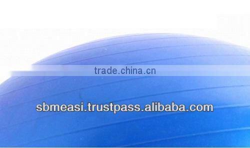 Fitness Exercise Yoga Ball 55cm