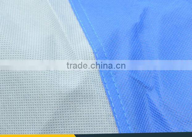 USA Hot Sale Economic 70g Non Woven Folding Garage Car Cover