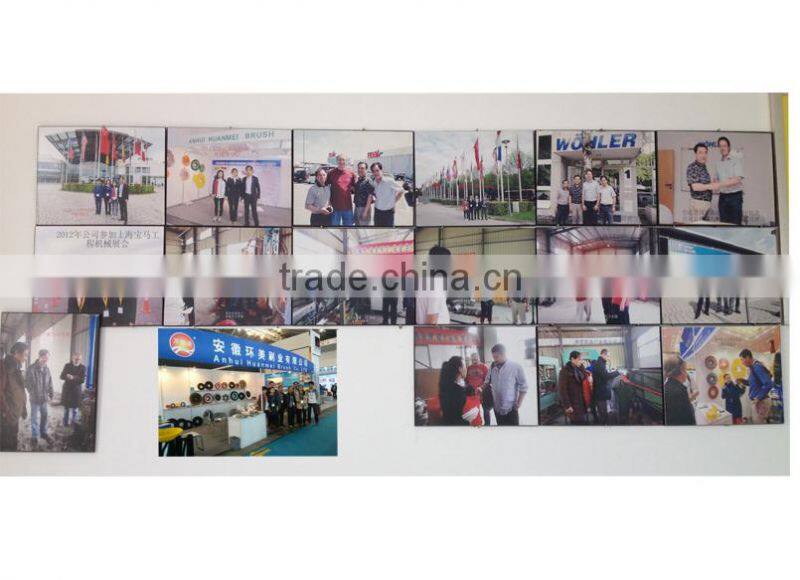 Polypropylene disc brushes