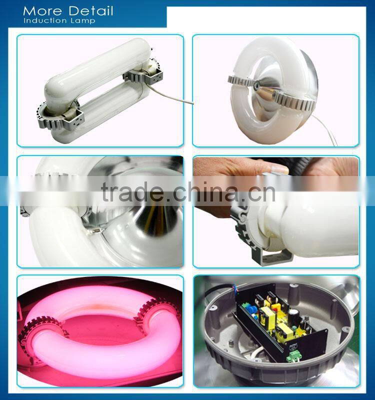 full spectrum induction lamps item type and plasma grow light
