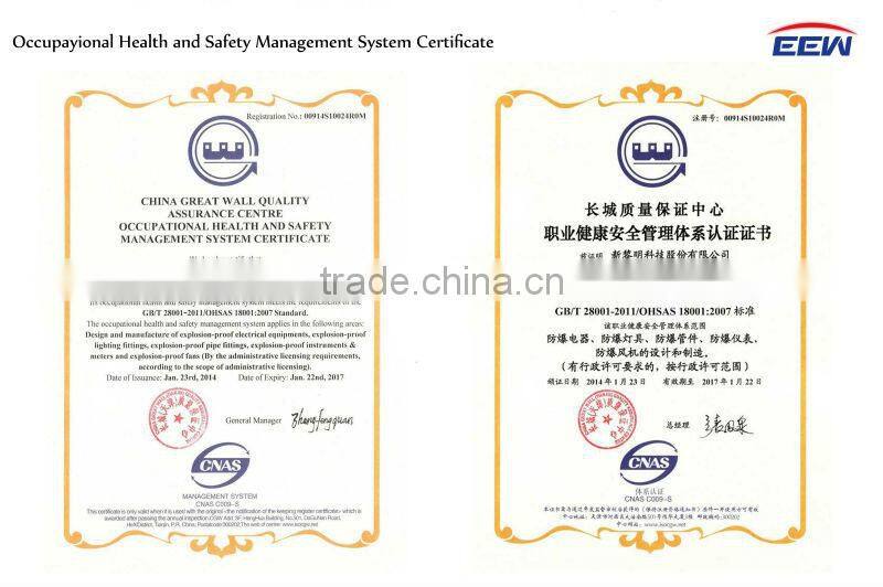 BYD701 Explosion Proof Drilling Rig Fluorescent Light Fittings