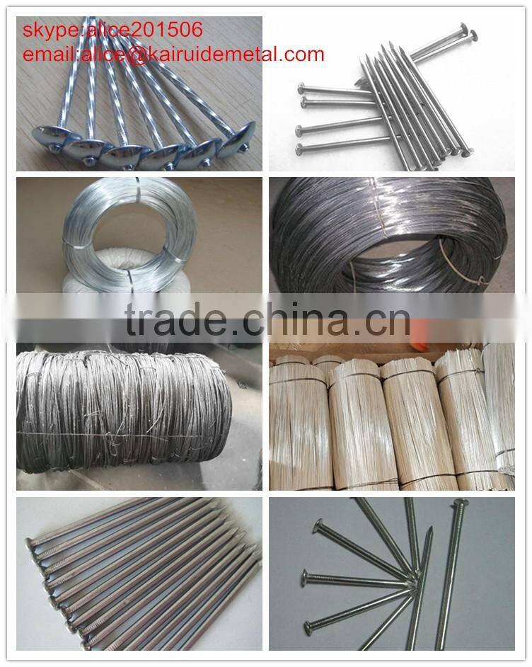 wholesale factory produce galvanized iron wire for construction,black annealed wire