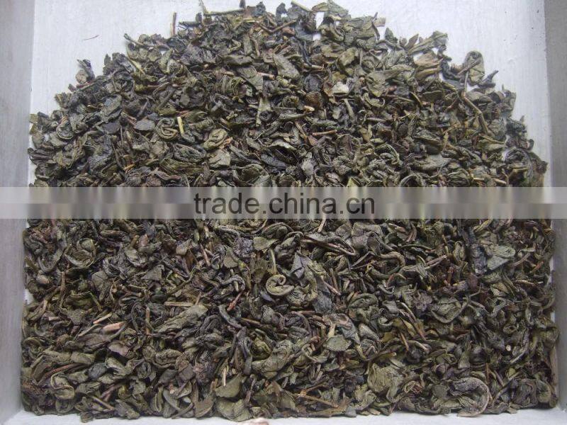 2016 new spring precious cheap hot sale Gunpowder Tea 9375