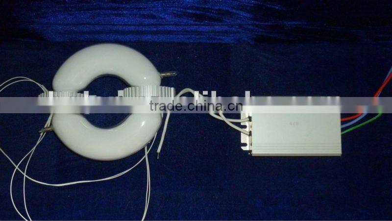 200w induction lamp electronic ballast