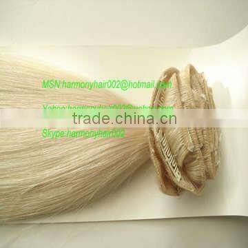 PREETY remy hair extension clip on dark blonde