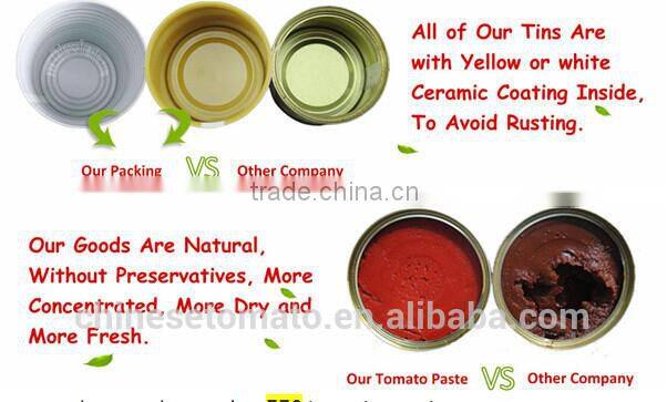 Bright Red Color Canned 28-30% Tomato Paste