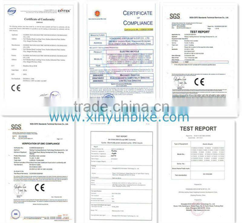 Popular Foldable e-bike XY-EB003F