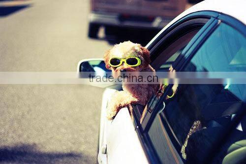 Lastest Design Safety Adjustable Dog Car Seat Belt