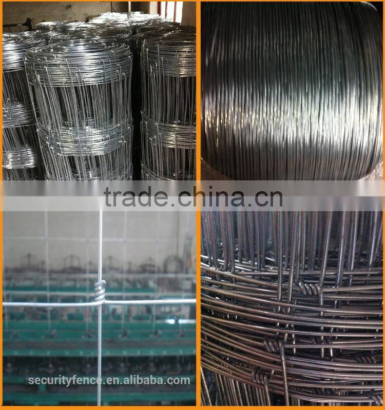 Galvanized fixed knot field fence for goat farm