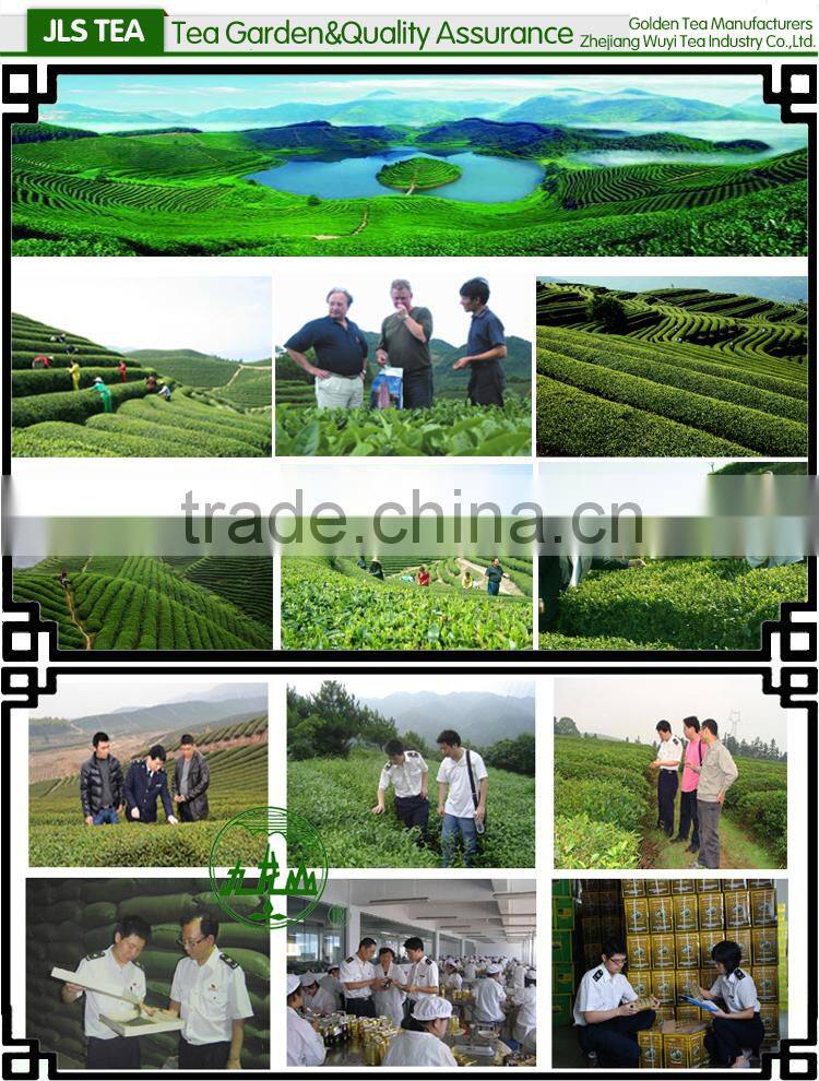 Good Reputation High Quality Alibaba Suppliers cheap green tea/green tea producers