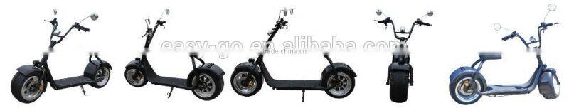 Newest design 1000w/800w City COCO gas scooter kit with CE/RoHS/FCC certificate hot on sale