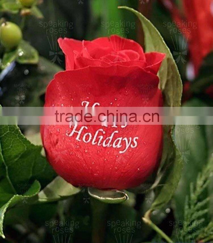 Flower Beauty Digital Nail Printer Machine For Salon Use