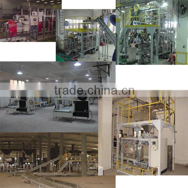GFCK-G3 Automatic Granular Heavy Bag Packaging Machine Unit