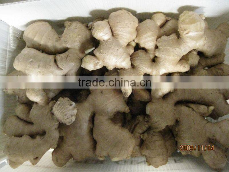 fresh ginger