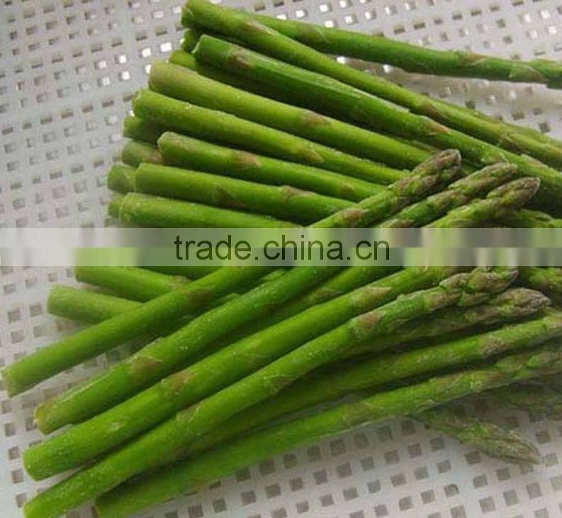 Hot sale IQF green asparagus for export